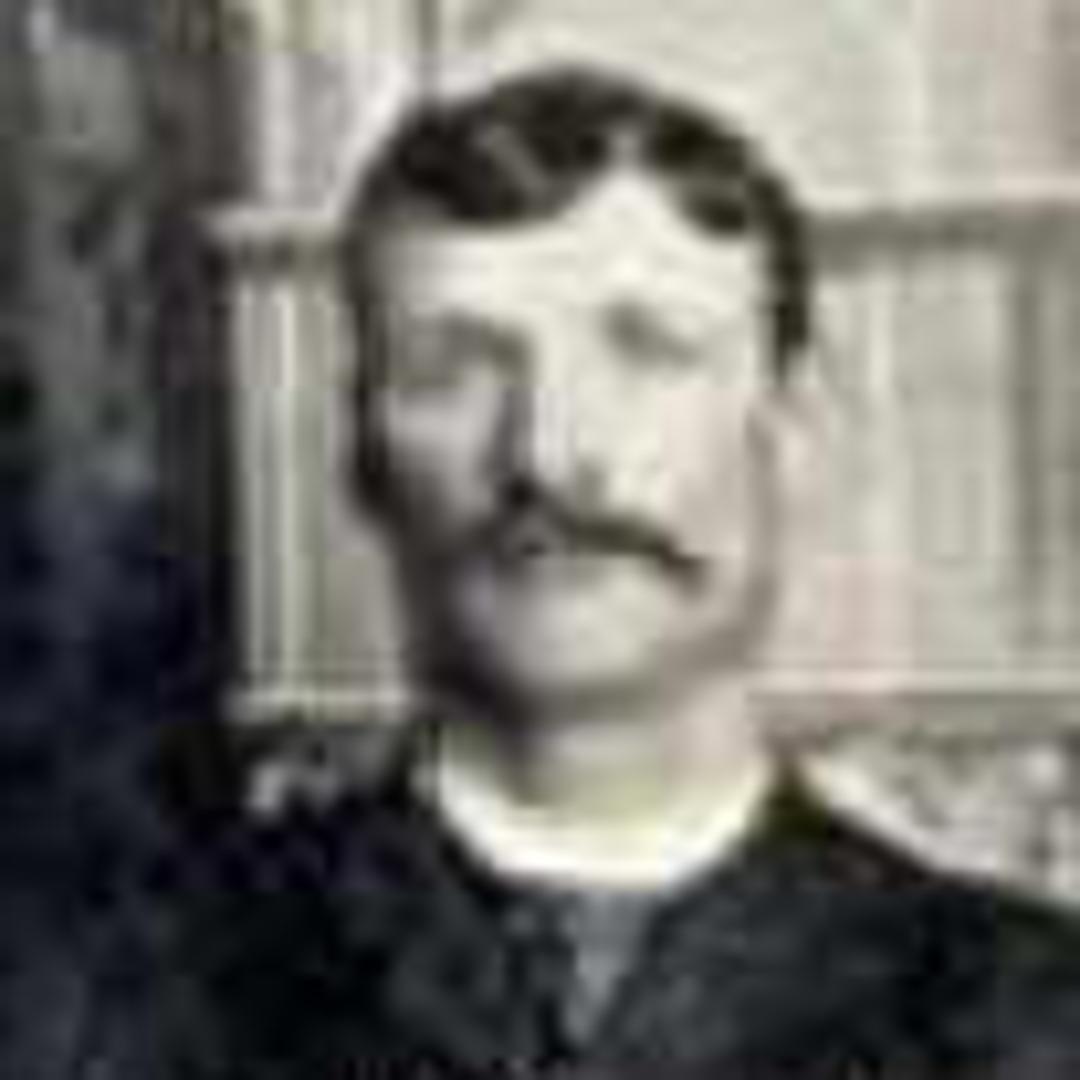 Willard Straw (1861 - 1895) Profile